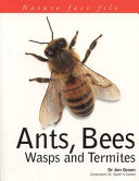 Termites cover