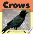 Crows cover