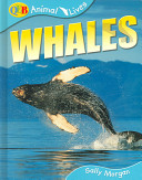 Whales (QEB) cover