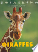 Giraffes cover