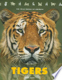 Tigers cover