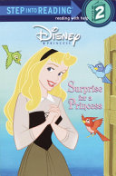 Surprise for a Princess cover