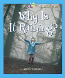 Why Is It Raining? cover