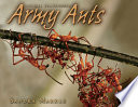 Army Ants cover