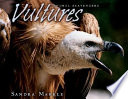 Vultures cover