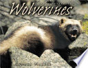 Wolverines cover