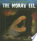 The Moray Eel cover