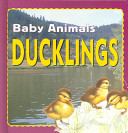 Ducklings cover