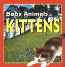 Kittens cover
