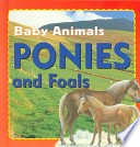 Ponies and Foals cover