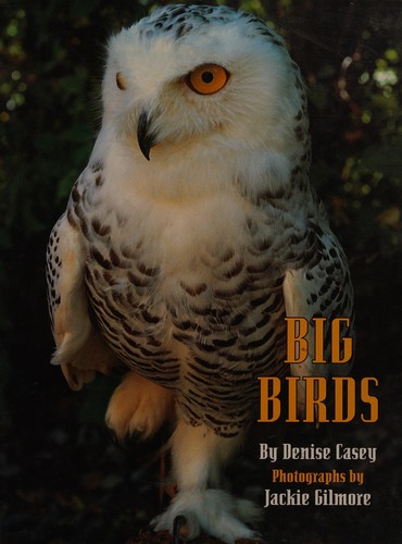 Big Birds cover