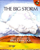The Big Storm cover