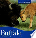 Buffalo cover