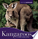 Kangaroos cover