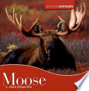 Moose cover