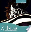 Zebras cover