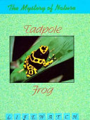 Tadpole to Frog cover