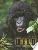 In the Wild cover