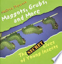 Maggots, Grubs, and More: The Secret Lives of Young Insects cover