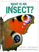 What Is an Insect? cover