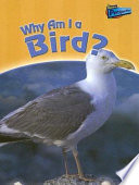 Why Am I a Bird? cover