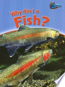Why Am I a Fish? cover