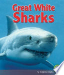 Great White Sharks cover