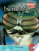 Incredible Insects (Freestyle Express) cover