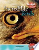 Incredible Birds (Freestyle Express) cover