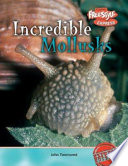 Incredible Mollusks (Freestyle Express) cover