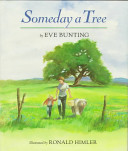 Someday a Tree cover