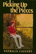 Picking up the Pieces cover