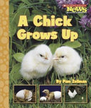 A Chick Grows Up cover