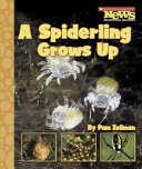 A Spiderling Grows Up cover