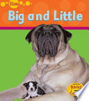 Big and Small cover