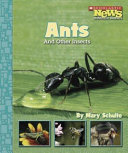 Ants and Other Insects cover