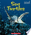 Sea Turtles cover
