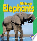African Elephants cover