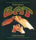 The Life Cycle of a Bat cover