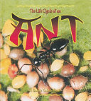 The Life Cycle of an Ant cover