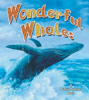 Wonderful Whales cover