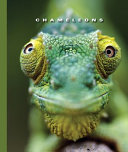 Chameleons cover