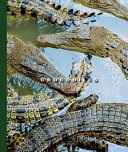 Crocodiles cover