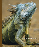 Iguanas cover