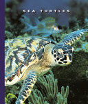 Sea Turtles cover