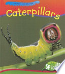 Caterpillars cover