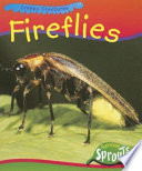 Fireflies cover