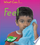What Can I Feel? cover