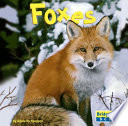 Foxes cover