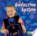 The Endocrine System cover